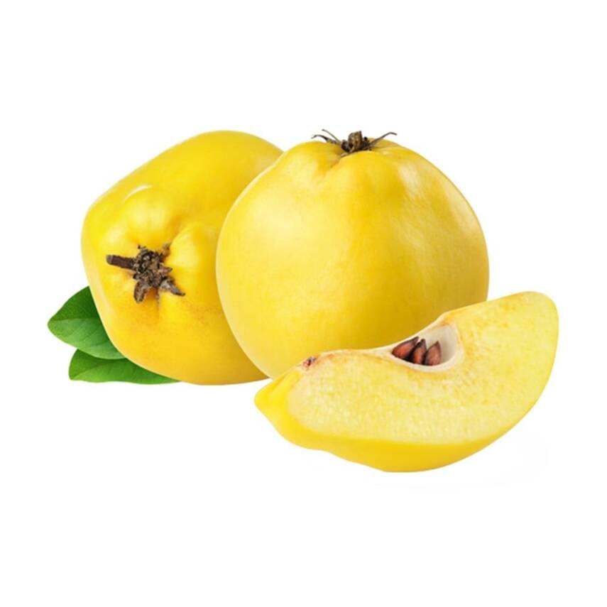Örnek Ürün 9 - Kişiselleştirme Ürünü - 1